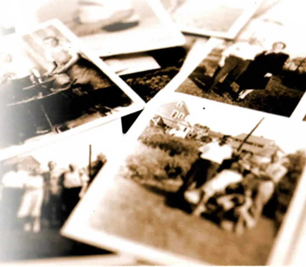 family photos