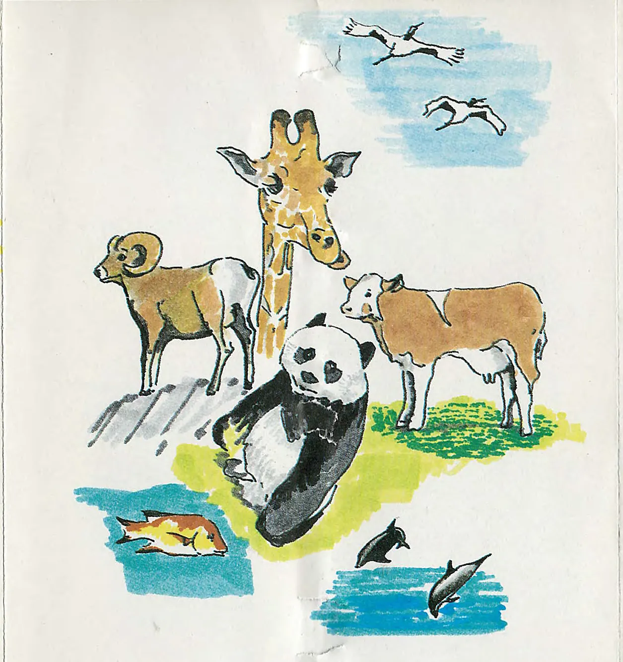 Illustrazione del Pannello 4