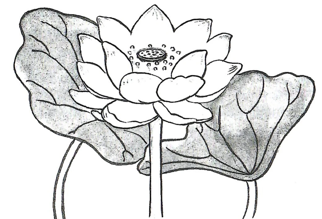 Seven Letters of Odaimoku